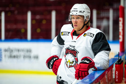 Marcus Sylvegård