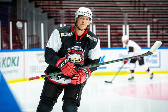 Emil Sylvegård