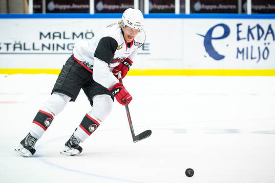 Marcus Sylvegård