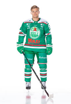 Rögles Leon Bristedt