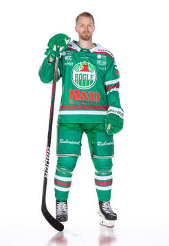 Rögles Ted Brithen
