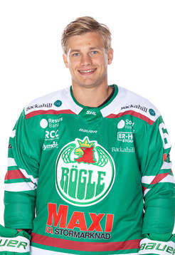 Rögles Leon Bristedt