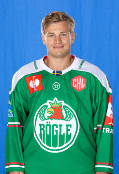 Rögles Leon Bristedt