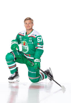 Rögles Leon Bristedt