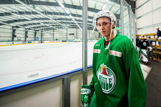 Rögles William Strömgren