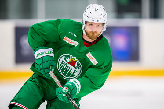 Rögles Ted Brithén