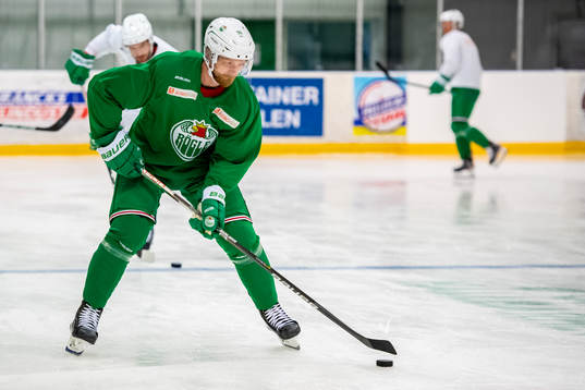 Rögles Ted Brithén