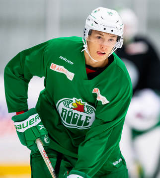 Rögles William Strömgren