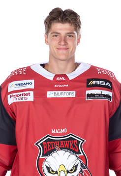 Malmö Redhawks Louis Ingvordsen