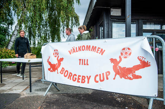 Borgeby IP