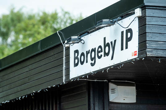 Borgeby IP