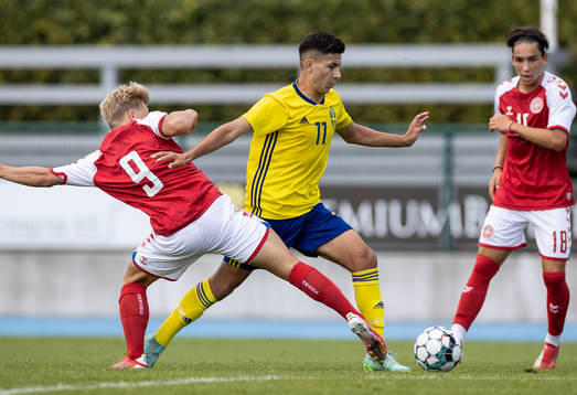 Elias Hansborg-Sørensen, Danmark och Roony Bardagji,