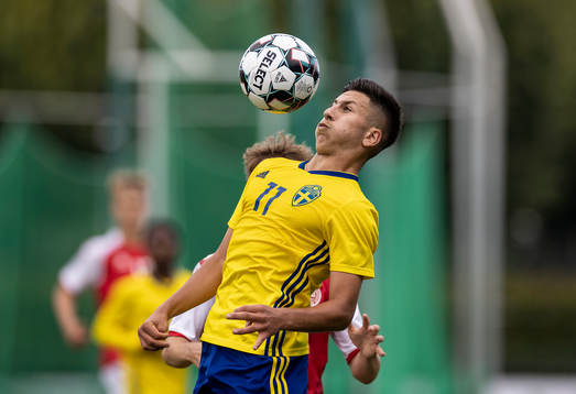 Roony Bardagji, Sverige