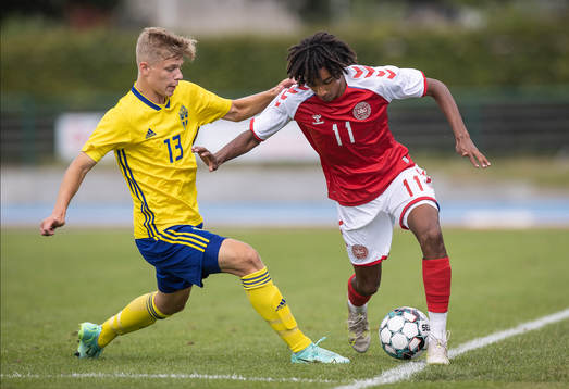 Gottfrid Rapp, Sverige och Tinus Olesen, Danmark