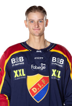Bläddra bland fler bilder av Ishockey, SHL, Porträtt och Lagbild, Djurgården