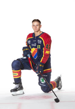 Djurgårdens Ludvig Hedström
