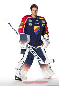 Djurgårdens Mantas Armalis