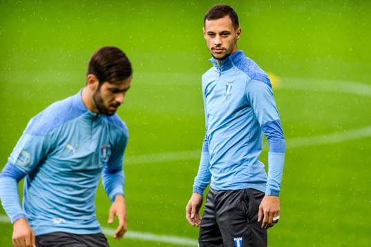 Adi Nalic and Veljko Birmancevic of Malmö FF