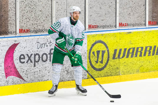 Rögles Ted Brithén