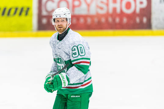 Rögles Ted Brithén