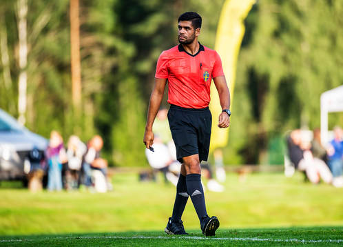 Domare Hassan Al-Saqr
