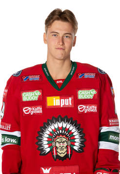 Frölundas Theo Angesved