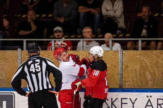 Timrås Ty Rattie och Malmö Redhawks Marcus Sylvegård