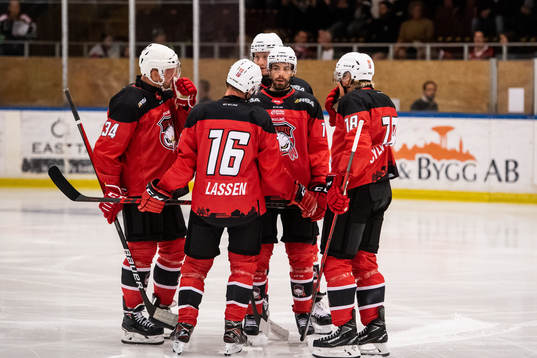 Malmö Redhawks spelare samlas