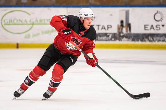 Malmö Redhawks Kalle Östman