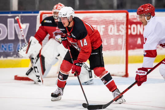 Malmö Redhawks Carl-Johan Lerby och Timrås Robin Alvarez