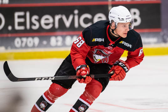 Malmö Redhawks Vincent Reimer