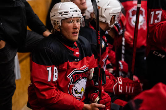 Malmö Redhawks Marcus Sylvegård