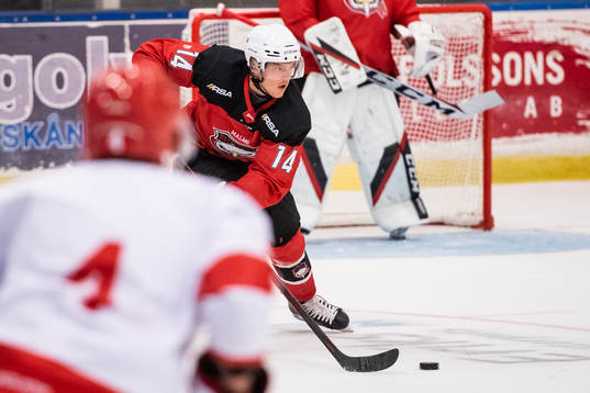 Malmö Redhawks Carl-Johan Lerby