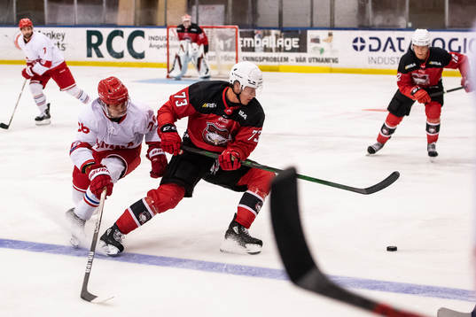 Malmö Redhawks Adam Ollas Mattsson