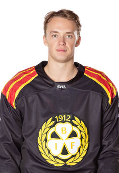 Brynäs Noel Gunler