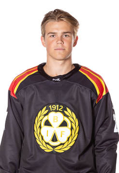 Brynäs Alexander Ljungkrantz