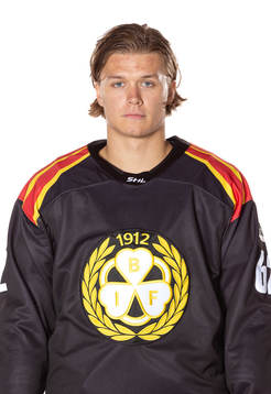 Brynäs Tom Hedberg