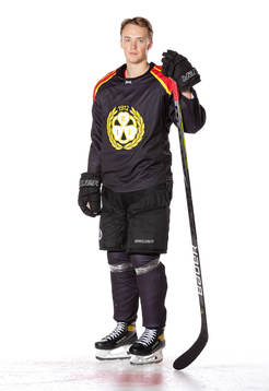 Brynäs Noel Gunler