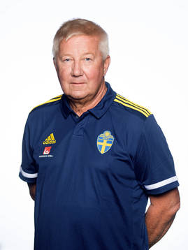 Bert Andersson, vice ordförande och ledamot i Svenska