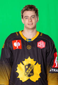 Skellefteås Stefan Loibl