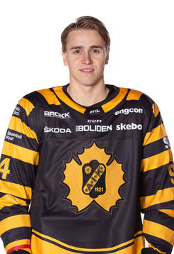 Skellefteås Linus Karlsson
