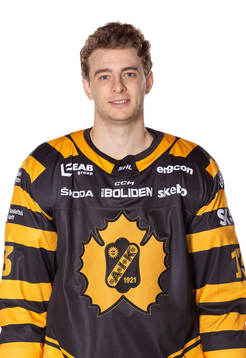 Skellefteås Stefan Loibl