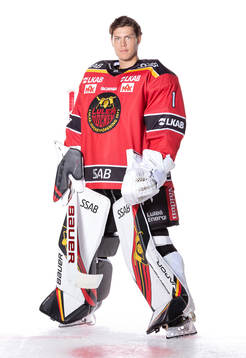 Bläddra bland fler bilder av Ishockey, SHL, Porträtt och Lagbild, Luleå