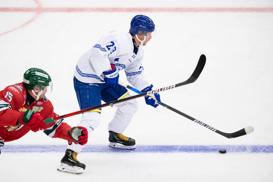 Leksands Mikael Ruohomaa  och Frölundas Anders Grönlund
