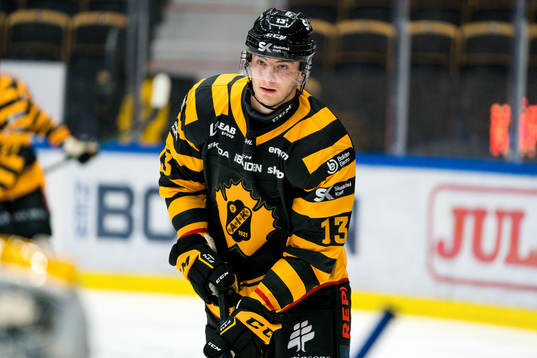 Skellefteås Stefan Loibl