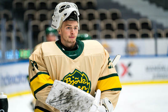 Björklövens målvakt Claes Endre