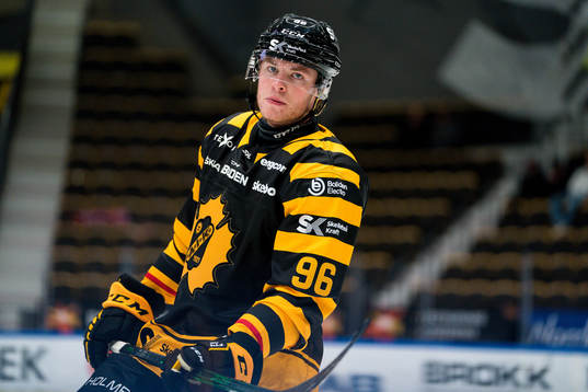 Skellefteås Rickard Hugg