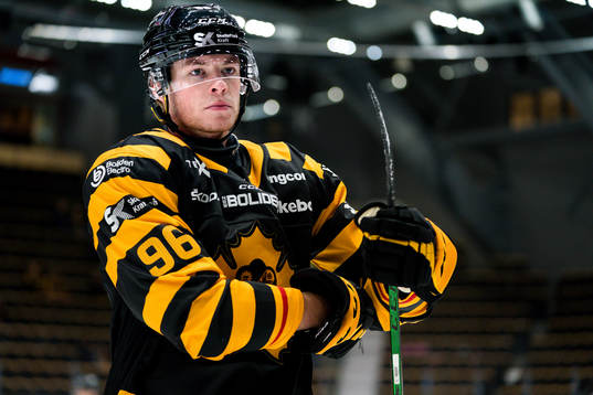 Skellefteås Rickard Hugg