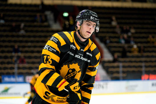 Skellefteås Stefan Loibl