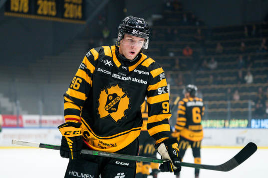 Skellefteås Rickard Hugg